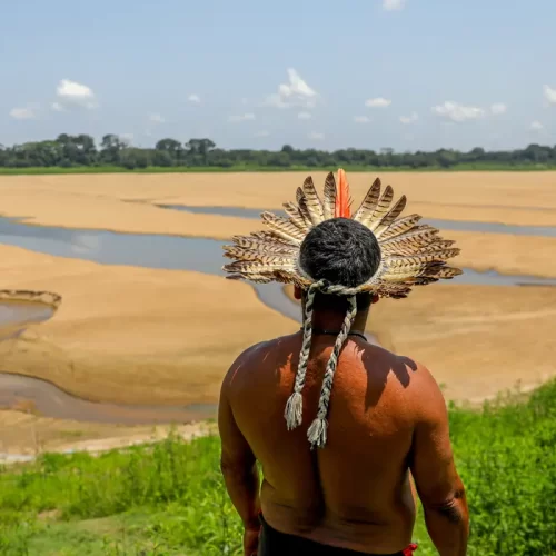 Rio Negro volta a subir e alaga ilha que marcou seca histórica